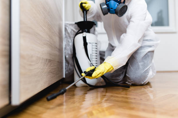 Best Residential Pest Control  in East Renton Highlands, WA