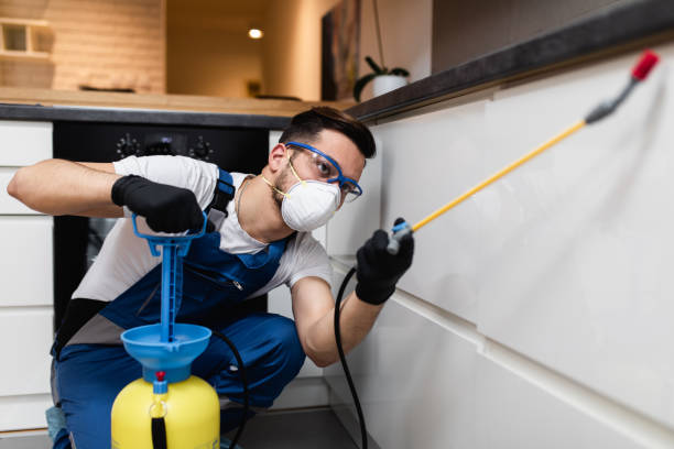 Best Rat Extermination Near Me  in East Renton Highlands, WA