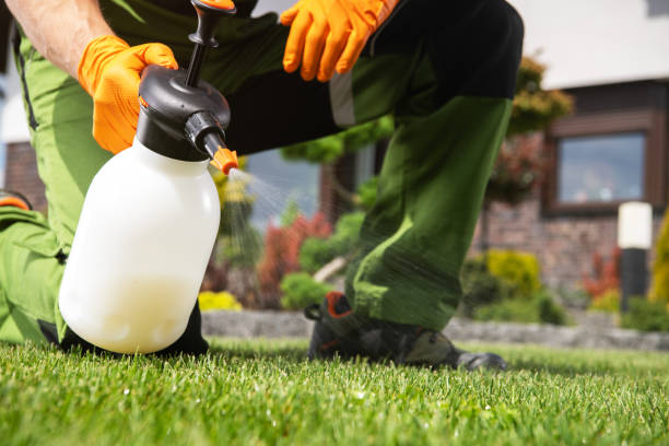 Best Rodent Control Near Me  in East Renton Highlands, WA
