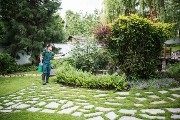 Reliable East Renton Highlands, WA Pest Control Solutions