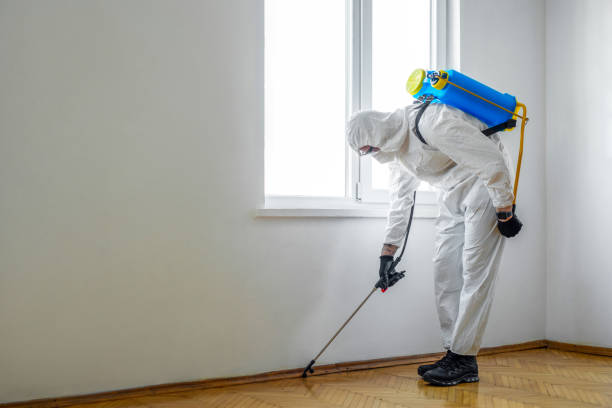 Best Termite Control Services  in East Renton Highlands, WA