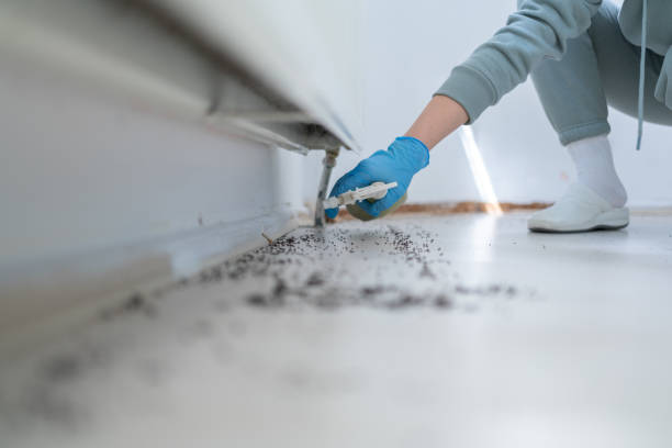 Best Bed Bug Extermination  in East Renton Highlands, WA